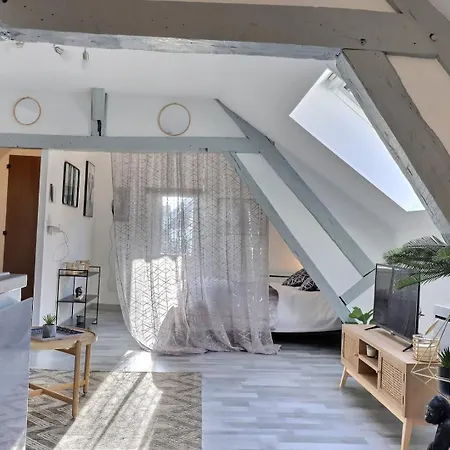 Downtown - Quiet And Cozy - Mon Groom Apartment Troyes
