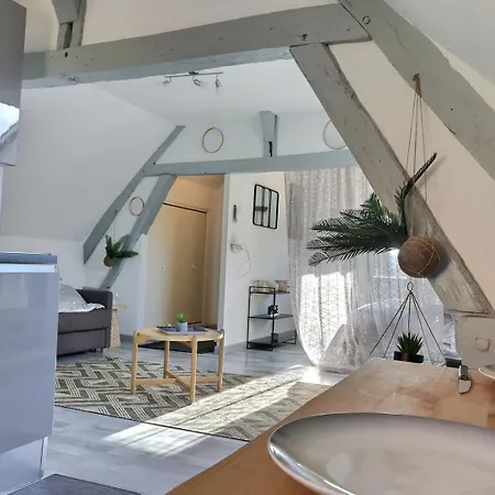 Apartment Downtown - Quiet And Cozy - Mon Groom Troyes